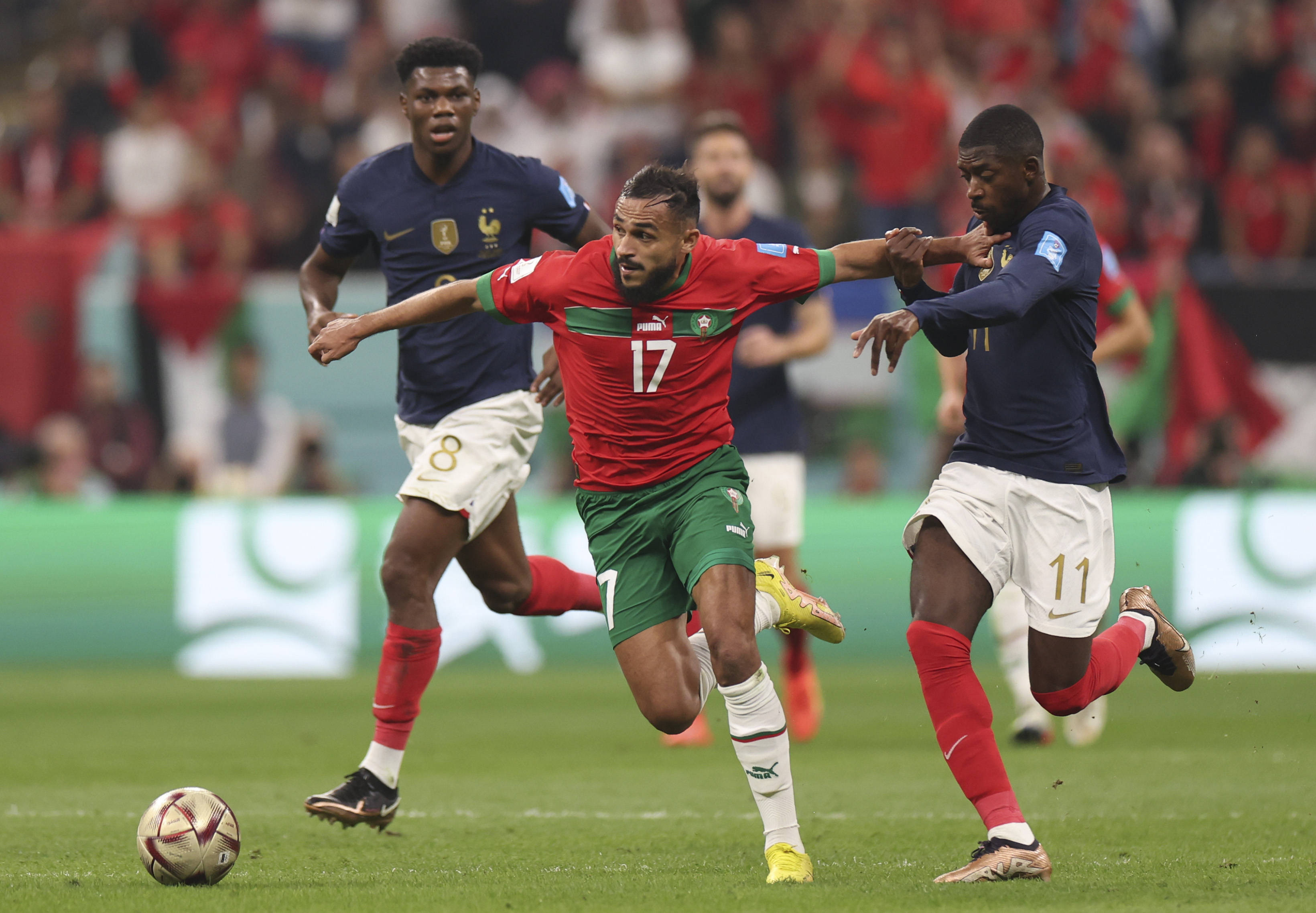 也为接下来 也为接下来