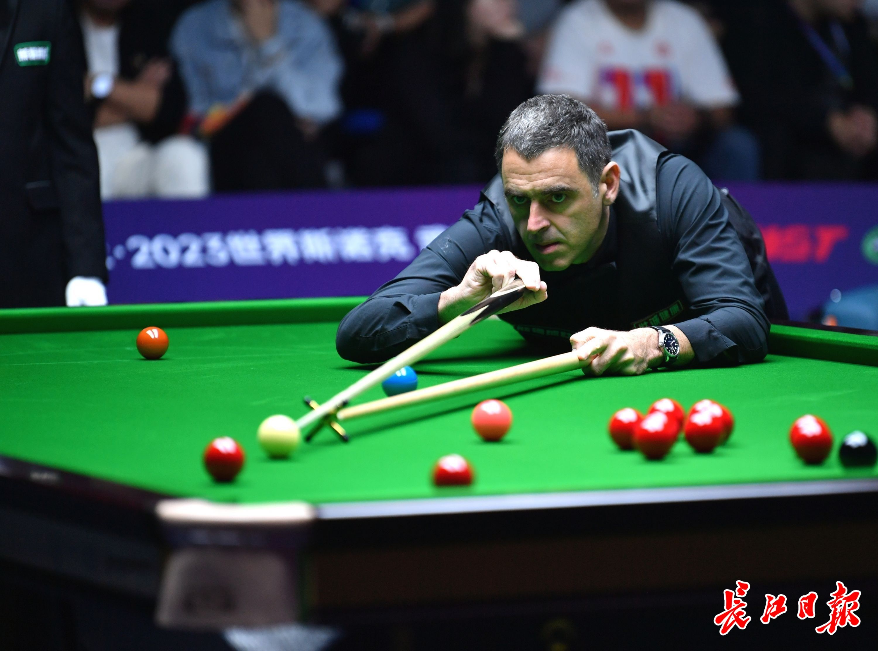 选择了更为 选择了更为